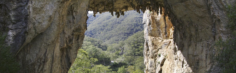 Things You Didn’t Know About Lucas Cave in the Blue Mountains