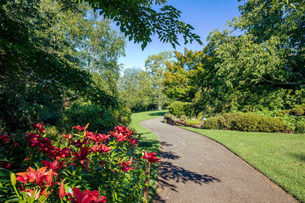 Blue Mountains Botanic Garden