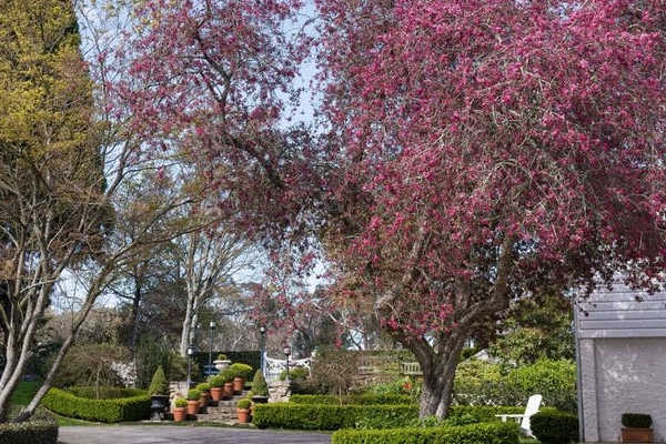 Leura Gardens Festival