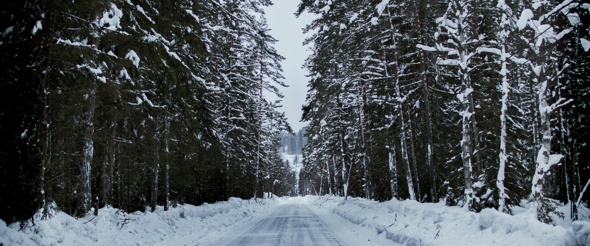 blue mountains in the snow